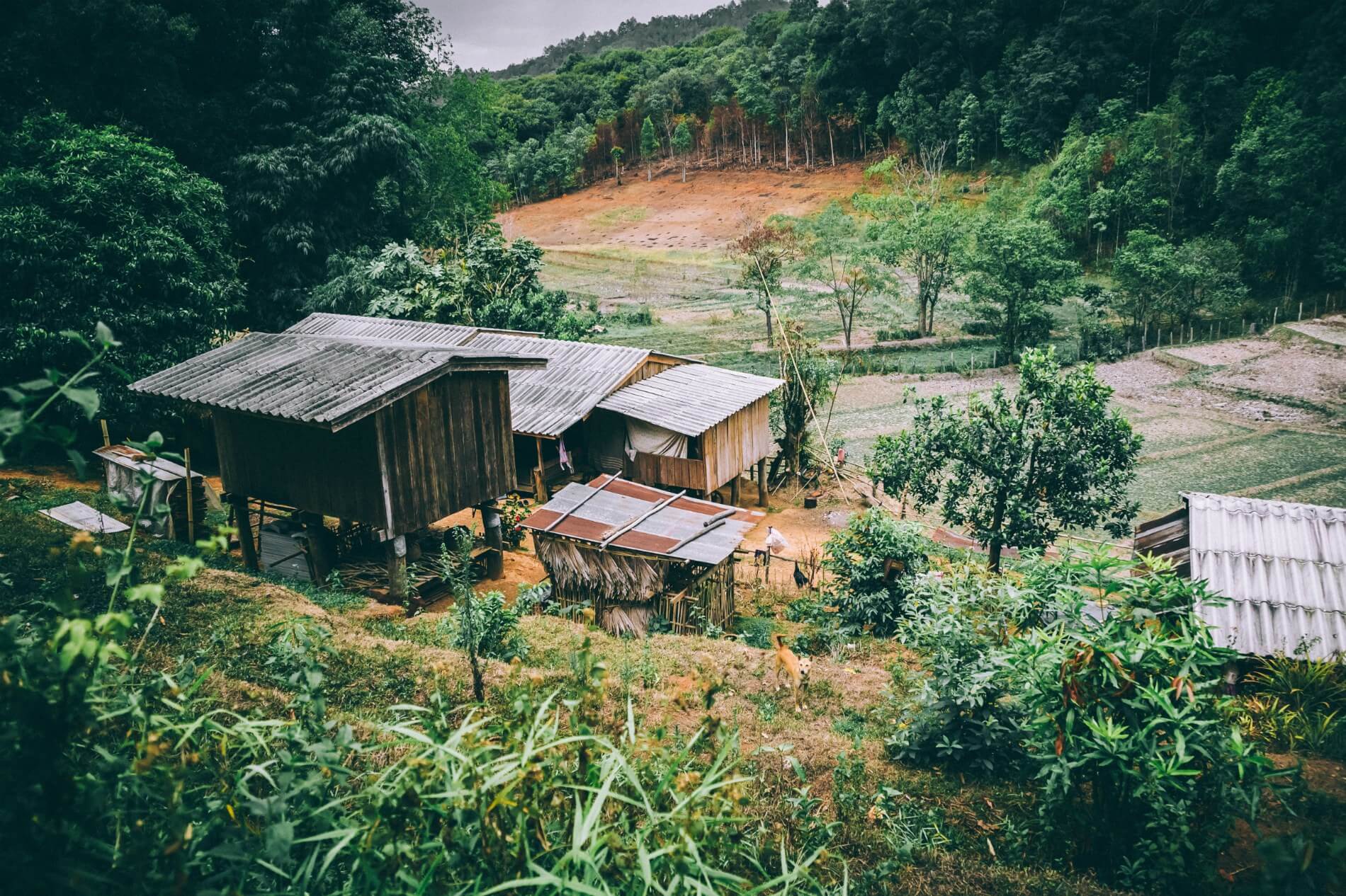 Ферма в Таиланде
