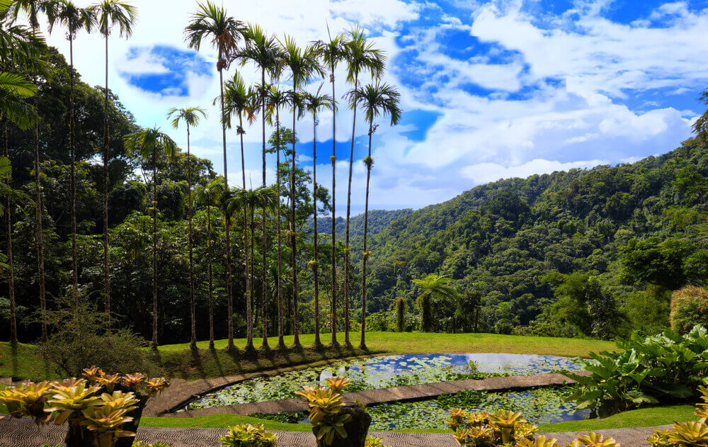 Сад Балата в Мартинике